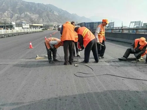 城阳道路桥梁病害治理